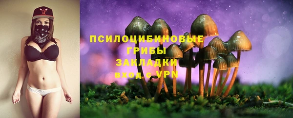 трава Кинешма