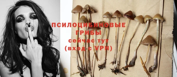 бошки Киреевск