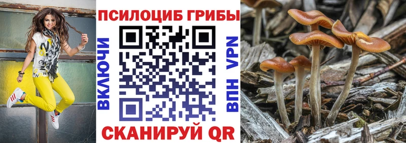 Галлюциногенные грибы Magic Shrooms Южно-Сахалинск